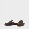 Aleya-mules