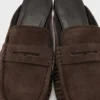 Aleya-mules